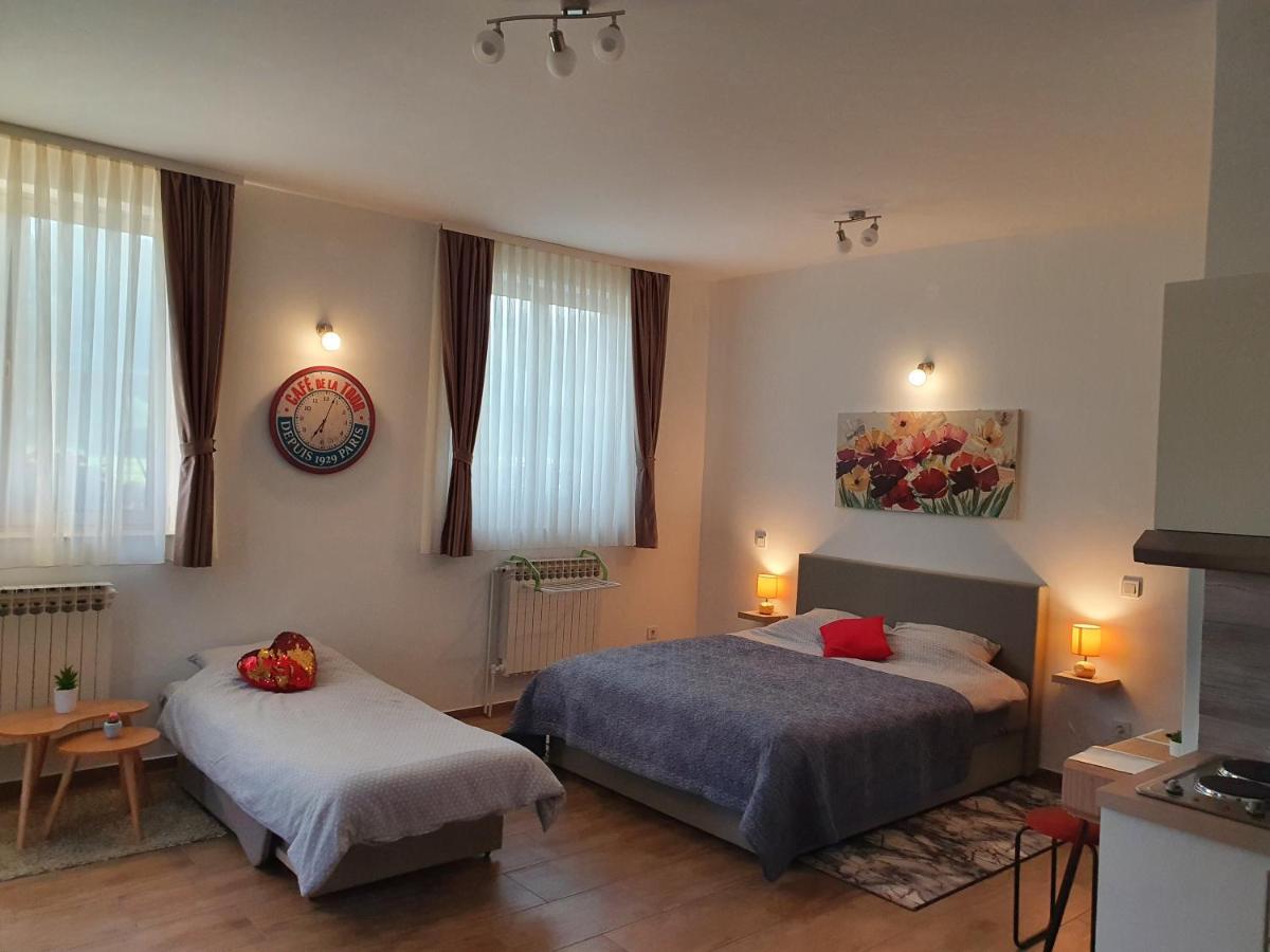 Studio Apartmani Toplicka Bajka Krapinske Toplice Bagian luar foto